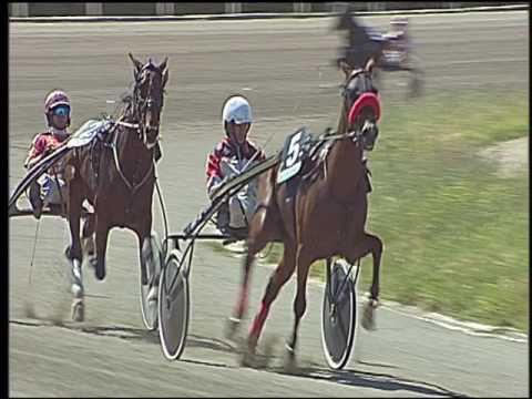 Trotto 04/06/2016 - 1° corsa