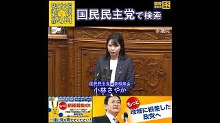 国民民主党 小林さやか 本会議 5月16日