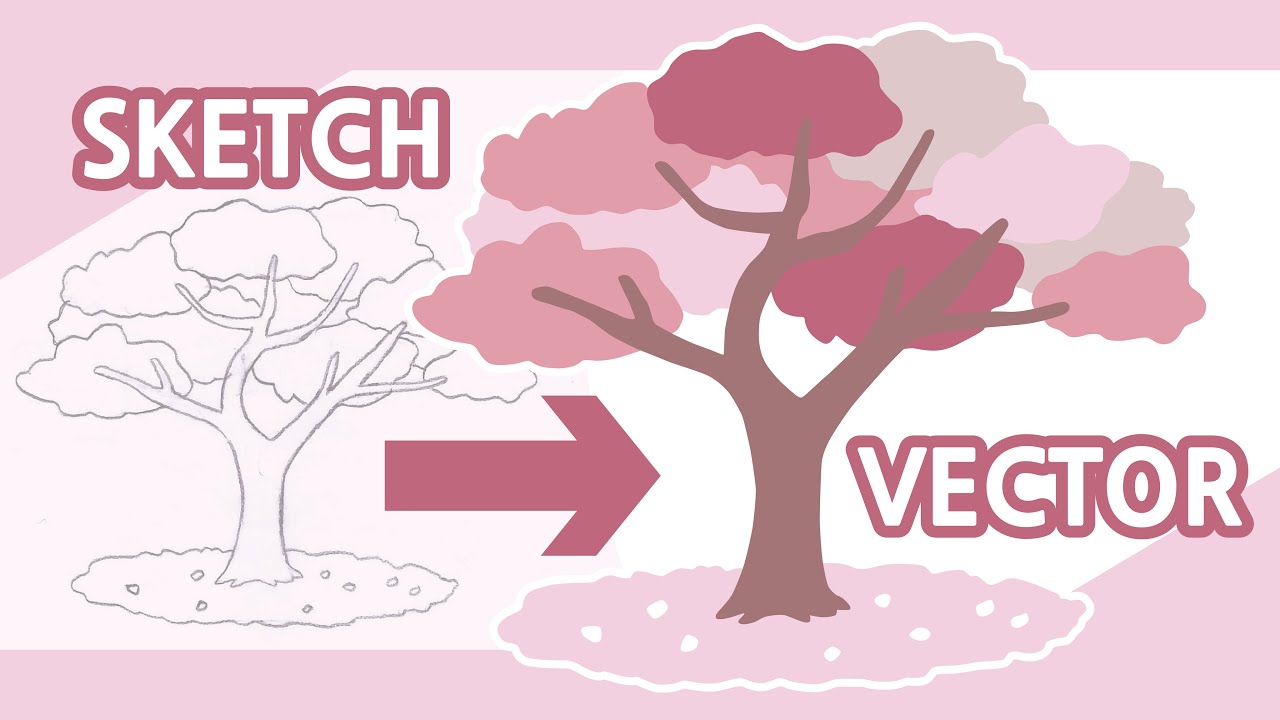 Cherry Blossom Tree - Speed Drawing / Digital Drawing / Sketch to Vector / Adobe Illustrator