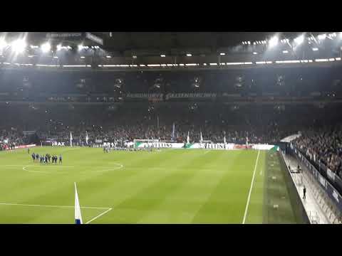 Stimmung nach dem Spiel/Schalke vs mainz/ Schalke ist die macht
