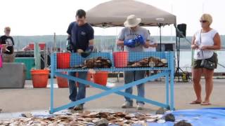Scallop Shucking Competition at Digby Scallop Days
