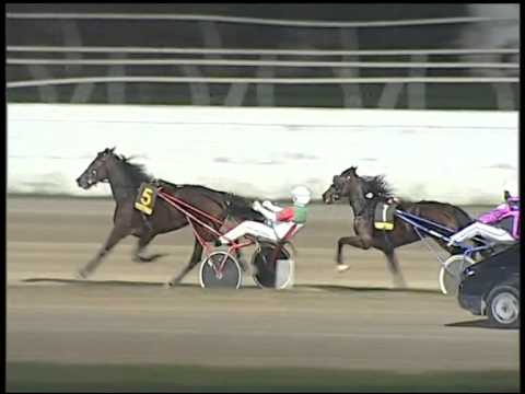 Trotto 26/10/2014 - 8° corsa