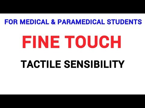 FINE TOUCH | TACTILE SENSIBILITY | CLINICAL LAB | PHYSIOLOGY