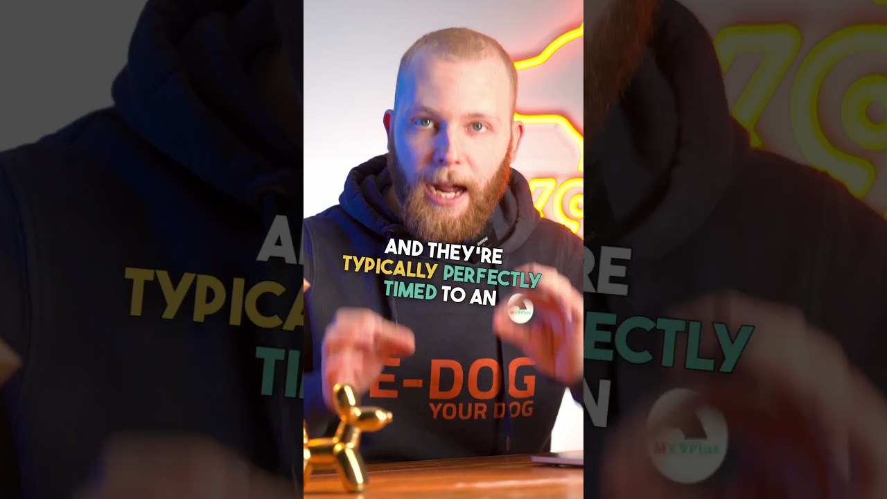 How To Read a Damand Bark! 🐶