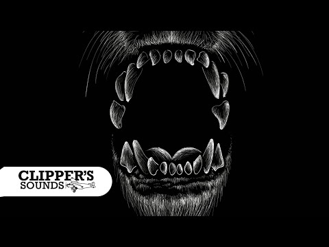 Maartin Rubik & U.R.T.A - Wolf (Official Audio)