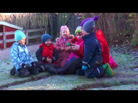 Förskolorna i Södra Sandby