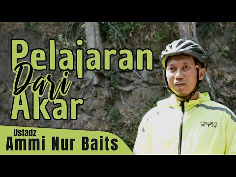 Pelajaran Dari Akar | Ustadz Ammi Nur Baits, ST,. BA.
