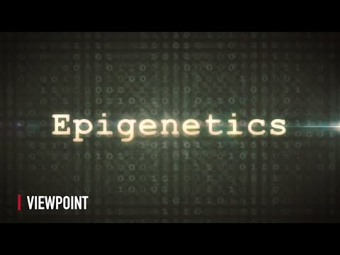 Epigenetics: How the Habits of Fathers Are Passed Onto Children