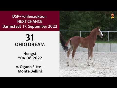 31 Ogano Sitte   Monte Bellini