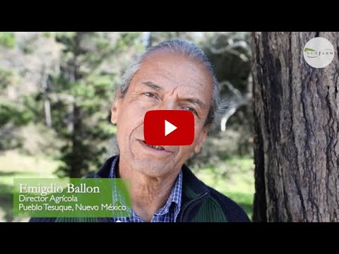 Emigdio Ballon:  Reimagining Our Future