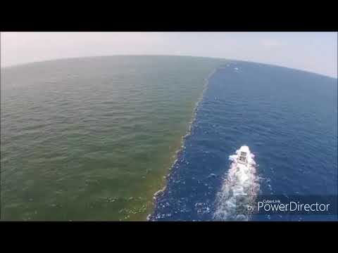 ALLAHOVI DOKAZI  / ''Pustio je dva mora da se dodiruju''