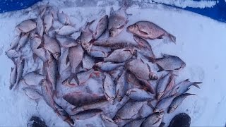 Зимняя рыбалка на яузе водохранилище
