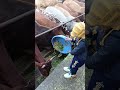 The Surprising Power Of A Cow Motivation At Its Best