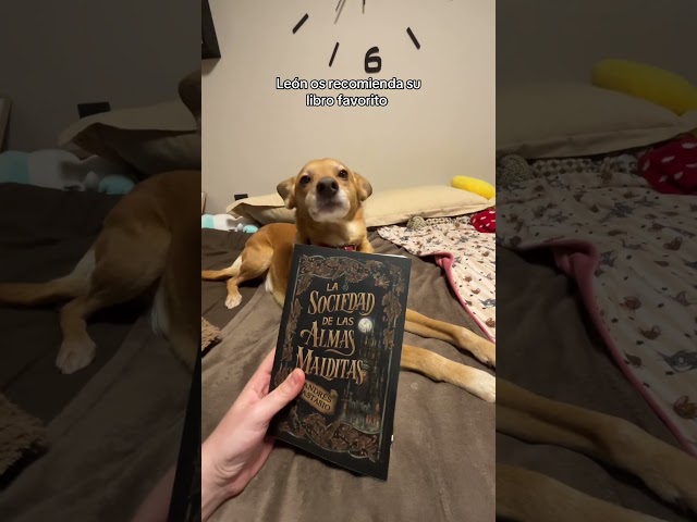 Vídeo relacionado con Mi primer libro sobre perros (OCIO Y CONOCIMIENTOS - Ocio y conocimientos)