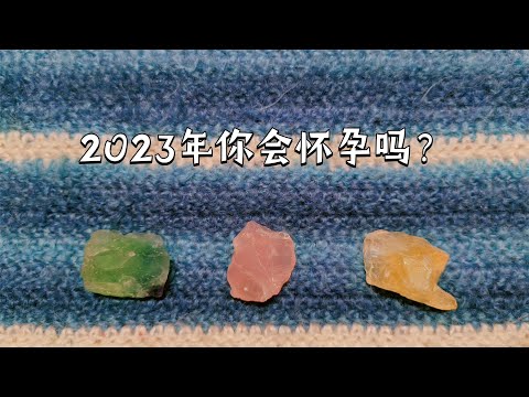 今年會懷孕嗎2023