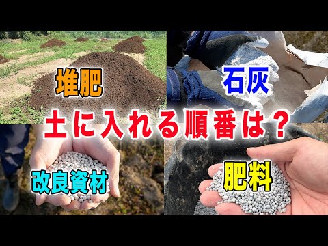 園芸 木の石灰処理