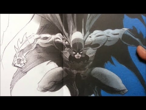 panellogy 030 - batman: the long halloween, absolute ed.