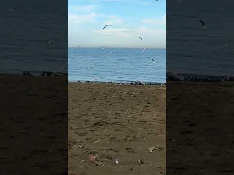 Beach in Yalova Turkey