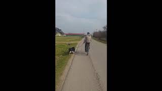 https://www.youtube.com/embed/9VnMvsWRbj0
