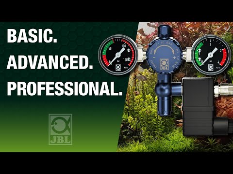 JBL TV 31: BASIC. ADVANCED. PROFESSIONAL. Die ideale CO2 Düngung für Pflanzen im Aquarium.