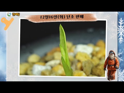 유튜브 썸네일