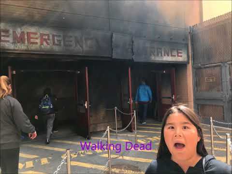 Minions, Hogwarts, Tram Tour, WALKING DEAD, and ending the night with Icing on Top