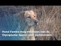Hond Femke mag meedoen aan de Olympische Spelen voor Jachthonden | RTV Oost