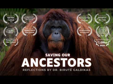 Saving Orangutans From Extinction | Lifeworks of Dr. Biruté Galdikas