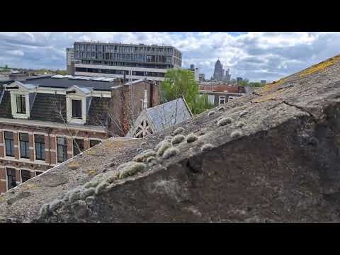 Gevel inspectie Amsterdam