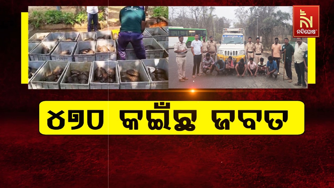 🔴 Live | ୪୭୦ କଇଁଛ ଜବତ