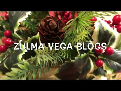 Soy niñera de perritos 🐶 vlog # 3