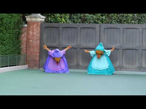 スージー&パーラ グリーティングからの帰り