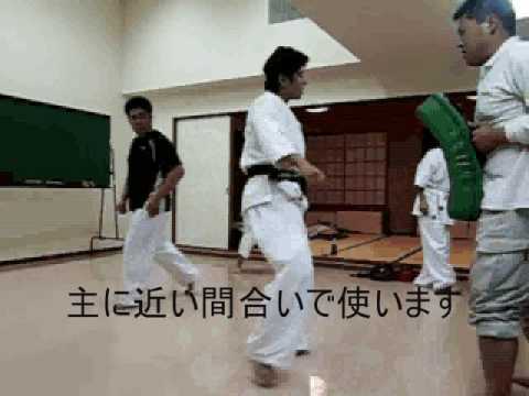 外廻し前蹴り＆内廻し前蹴り・ミット