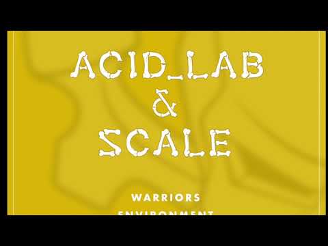 Acid Lab & Scale - Underdog [SKELR13]