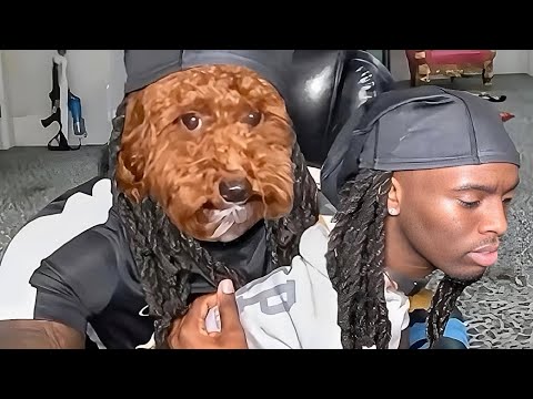 Try Not To Laugh Challenge (IMPOSSIBLE) | You Laugh = Restart
