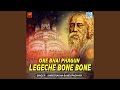 Ore Bhai Phagun Legeche Bone Bone