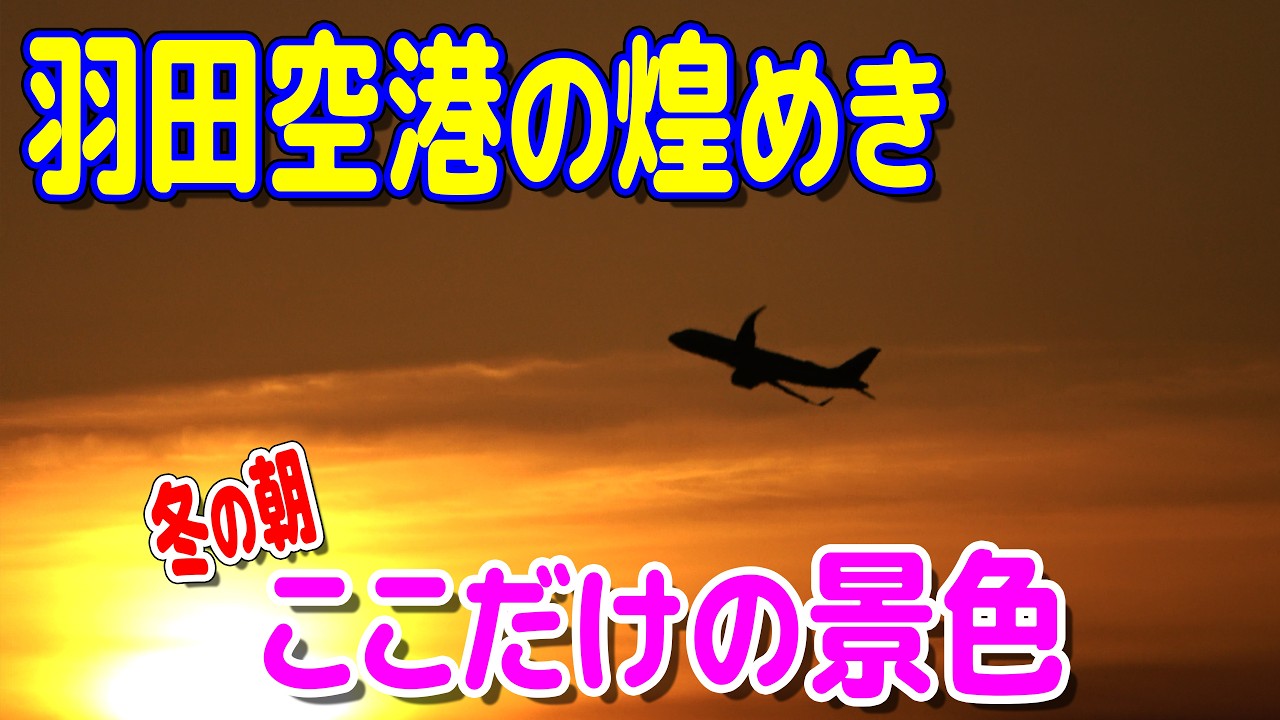 羽田空港の煌めき 冬の朝、ここだけの景色
