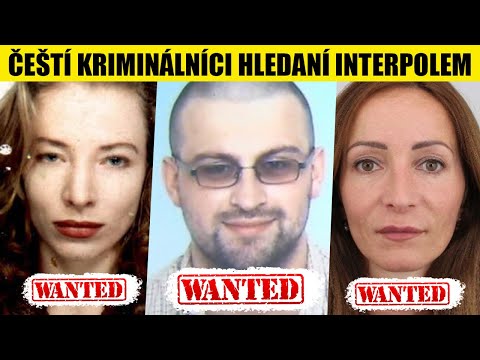 7 ČECHŮ HLEDANÝCH INTERPOLEM