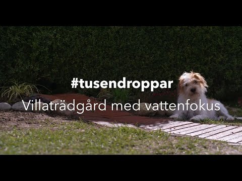 Villaträdgård med vattenfokus – kortversion