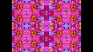 sportin' flowers (Sportin' Life Blues by Dave Van Ronk live in Sebastopol, CA '97)