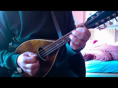 download lagu mp3 mp4 Merrily Kissed The Quaker Mandolin, download lagu Merrily Kissed The Quaker Mandolin gratis, unduh video klip Merrily Kissed The Quaker Mandolin