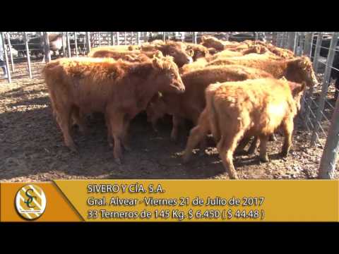 21-07-17 Venta de Machos - Sivero y Cía. S.A. - Gral. Alvear