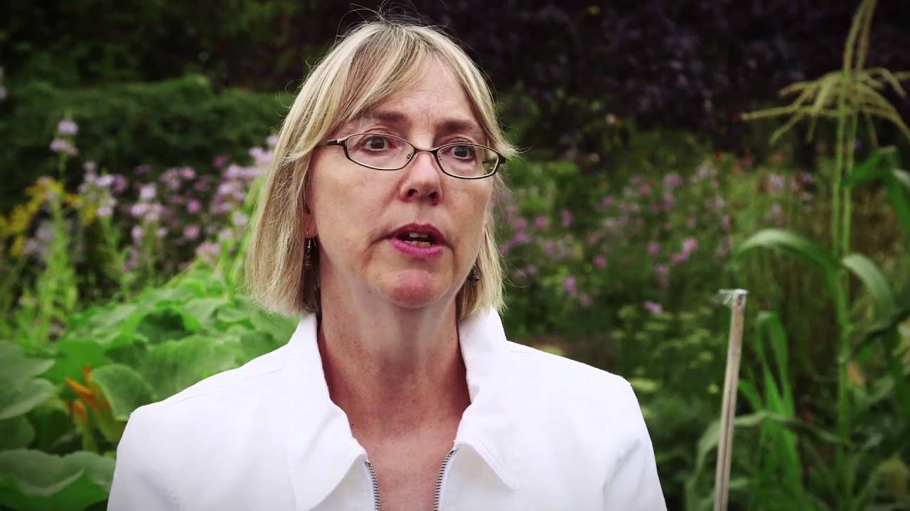 FNH 473 Video 4: Implementing community-based programs