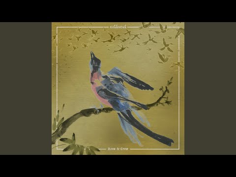 Little Light - GoldenOak