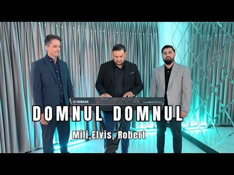 DOMNUL DOMNUL - Elvis ,Mili,Robert (Colaj Frati din Barbulesti)