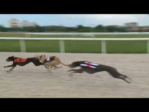 2018.06.29. Agár futam