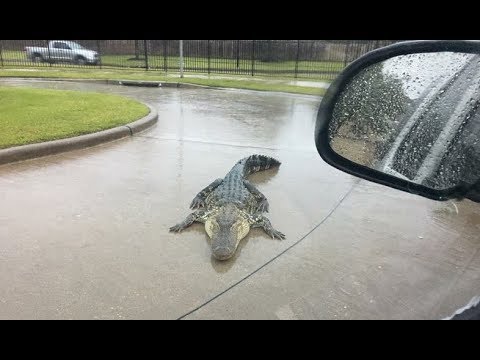 Աղետներ աշխարհի տարբեր անկյուններում