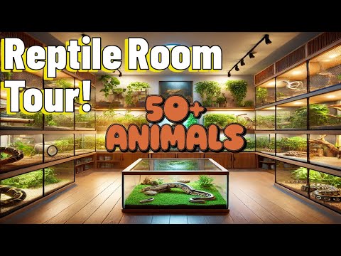 My CRAZY Reptile Collection! Room Tour 2025