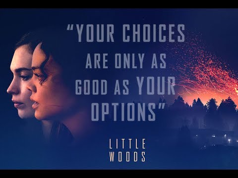 Little Woods (TV Spot 'Supports Planned Parenthood')