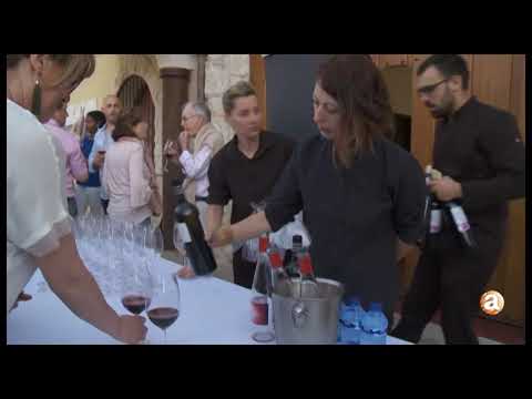 TELEVISIÓN ARANDA - 25 ANIVERSARIO BODEGAS CASAJÚS